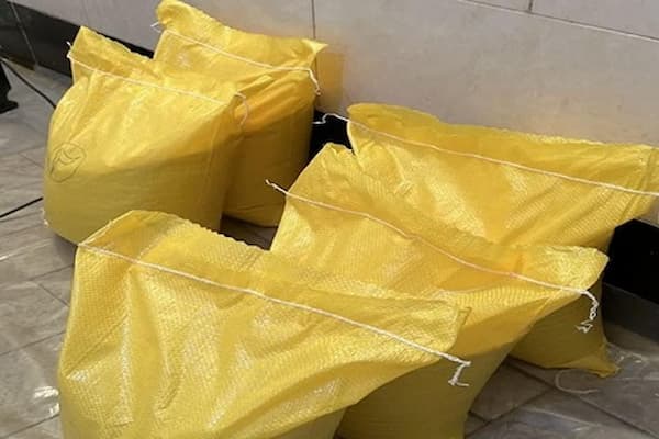 خرید برنج چمپا کیسه زرد + قیمت فروش استثنایی